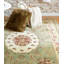 Oriental Area Rug-1776105427