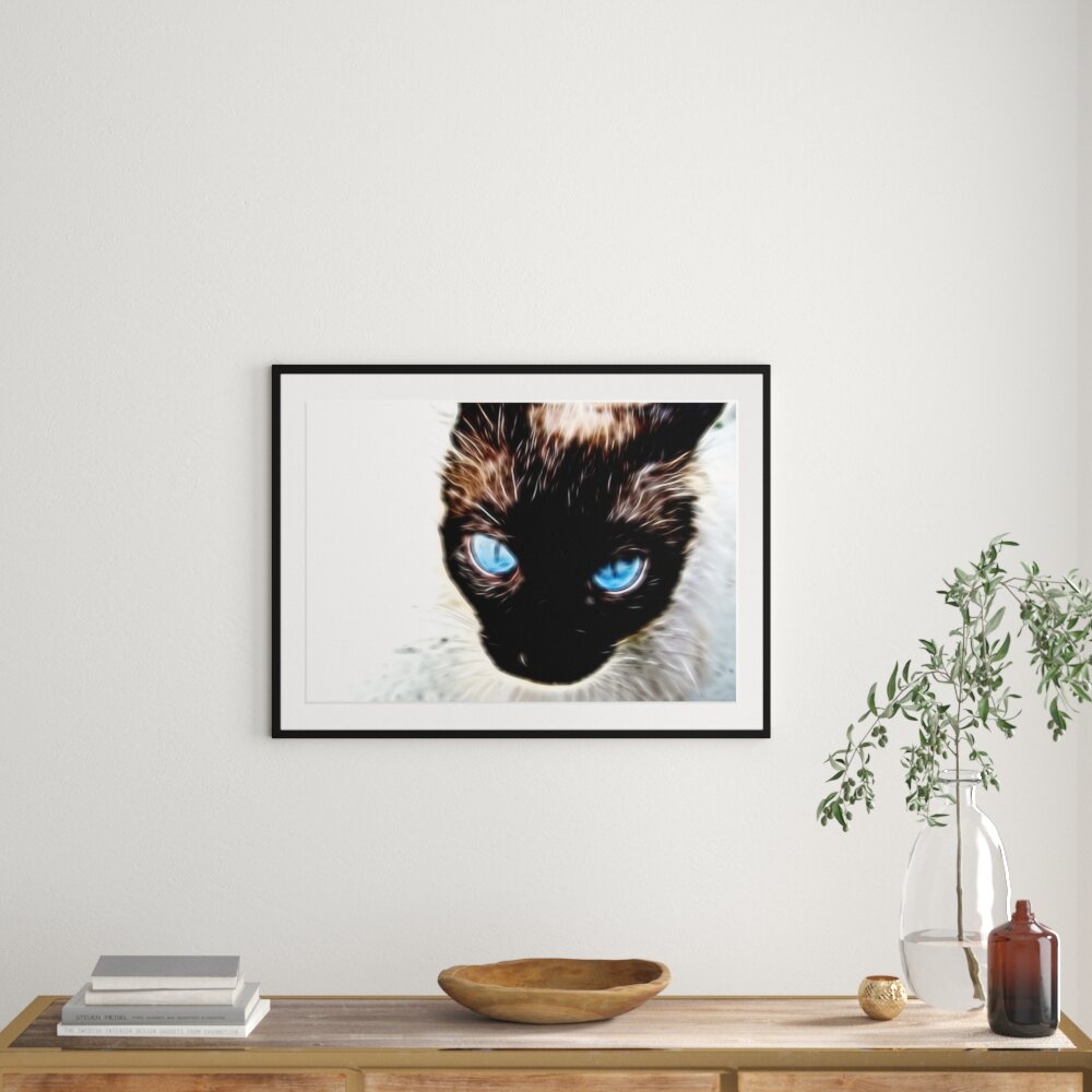 Gerahmtes Poster Schwarze elegante Katze