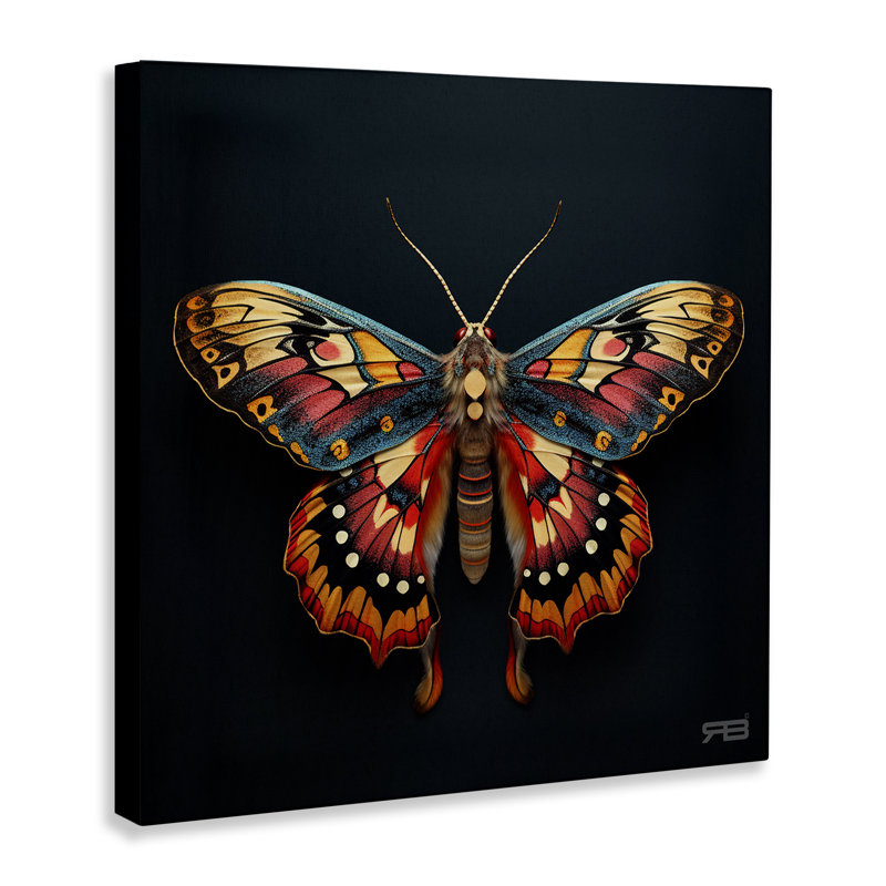 Art mural sur toile à motif de papillon de nuit Vivid par Roozbeh Bahramali, H 17 po x l 17 po