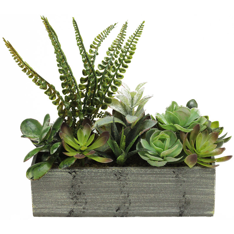 11.75" Artificial Mixed Succulent Plants in a Rectangular Planter