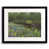 Black Framed Paper selected
