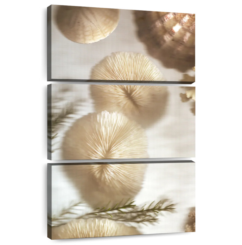 Aletra Illuminations No.2, 38" H x 24" W