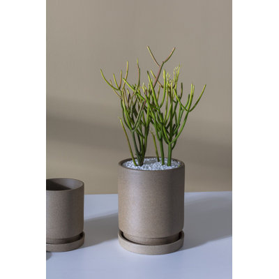 Pot à fleurs en céramique Elle Imogen