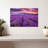 Alvord Lush Lavender Field-107525370