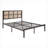 Dark Bronze Finish Metal Queen Platform Bed, Faux Cane Panel Headboard, No Box Spring Required Coastal Bedroom Furniture