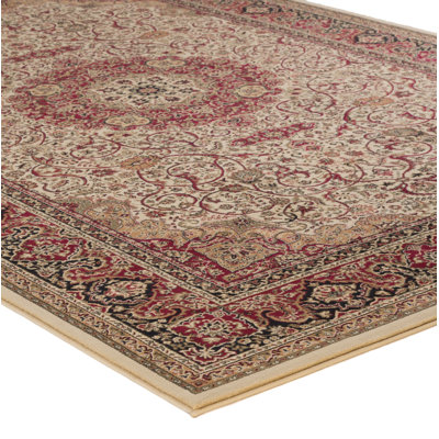 Izaiah Oriental Indoor Rug
