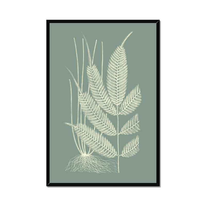 Ferns on Sage II by Vision Studio - Wrapped Canvas Painting Print, 80cm H x 55cm W, Black Framed Paper Print