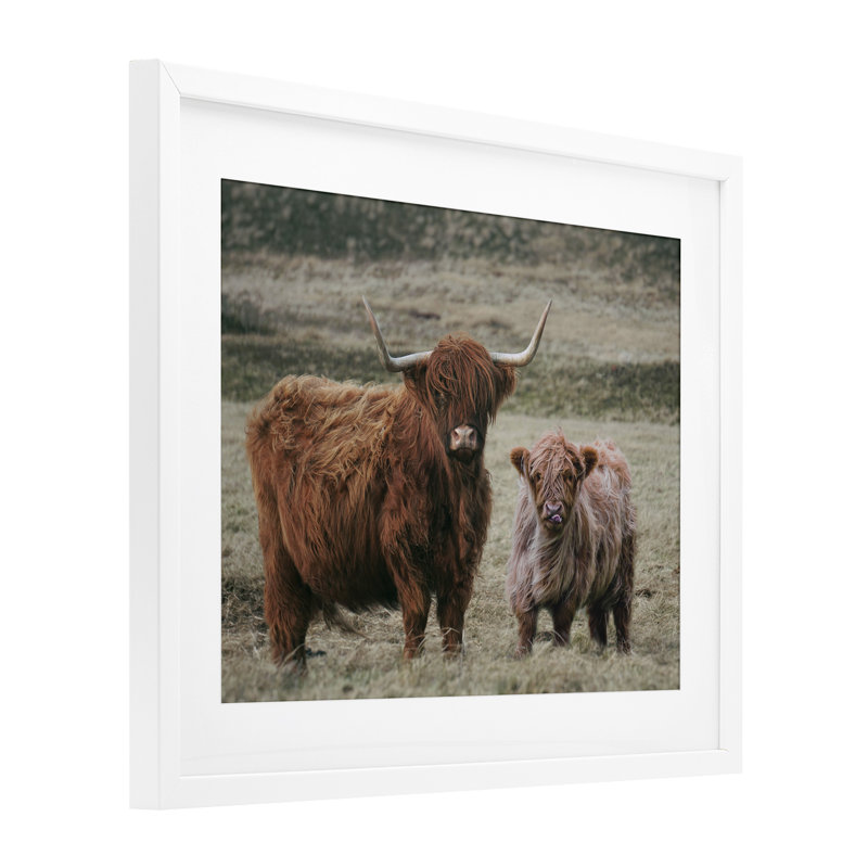 «Mom & Baby Cow», reproduction encadrée sous verre, lettrée et doublée, H 17 po x l 21 po, Cadre blanc côtier