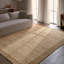 Jaipur Living Vitani SOS04 Handwoven Border Tan Area Rug (12'X15')-1414844277