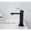 Single Hole Bathroom Faucet-2034639121