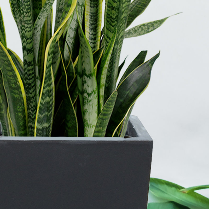 Pot Planter, Burnished Black