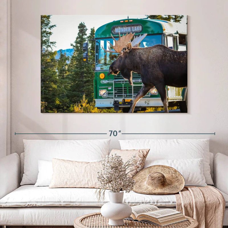 Crowle Denali Moose, 34" H x 51" W