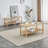Modern 2-Tier TV Stand for Living Room Furniture,Rectangular Centre Table with Open Storage Shelf,Rounded Rubberwood legs,Stable and Durable,Easy Assembly-1851174260