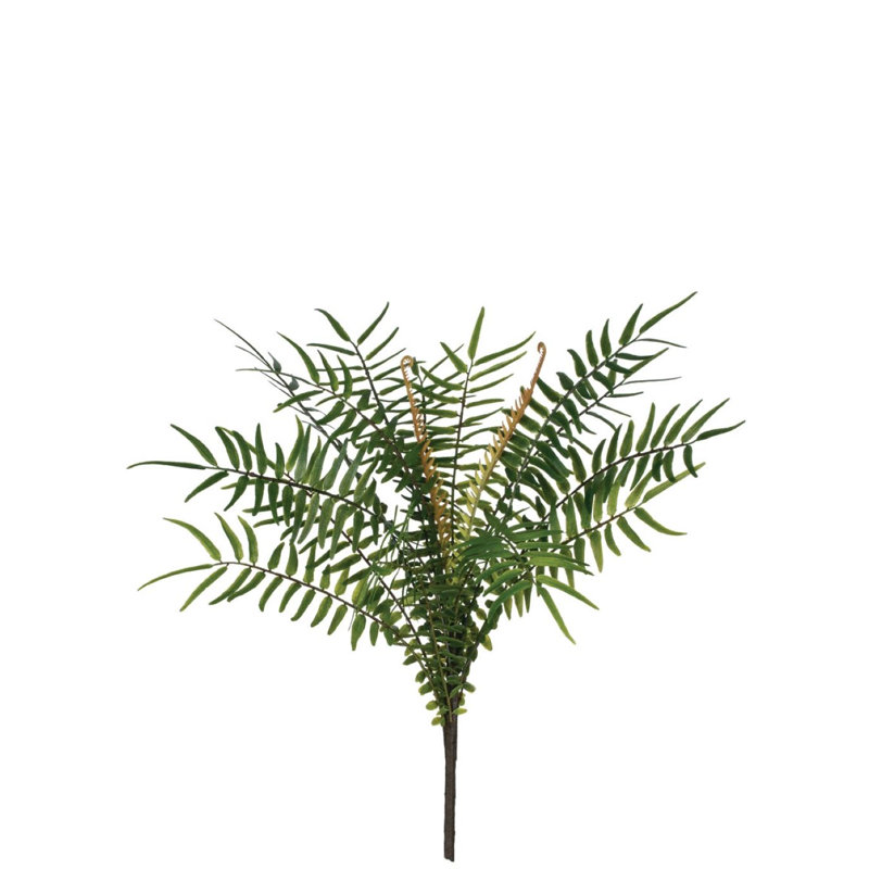 Pulvérisateur de palmes