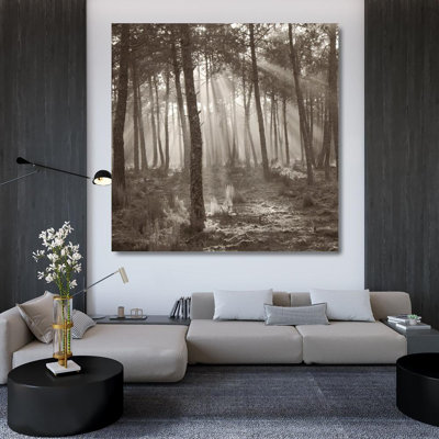 Lumière forêt