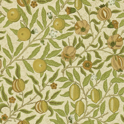 Fruit 10.05m x 52cm Matte Wallpaper Roll