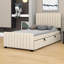 Lit plateforme tapissier simple en velours - Lit gigogne simple inclus-1898870928