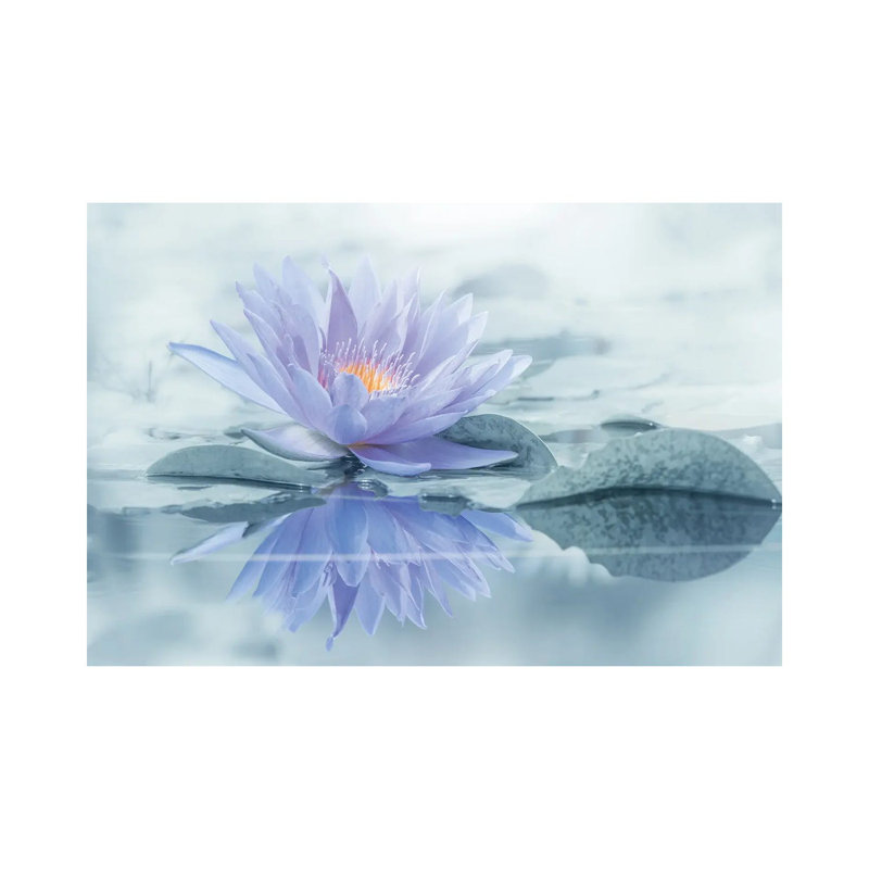 Reflection by Takashi Suzuki - Wrapped Canvas Print