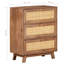 Denzell Sideboard 61x35x76 cm Solid Mango Wood