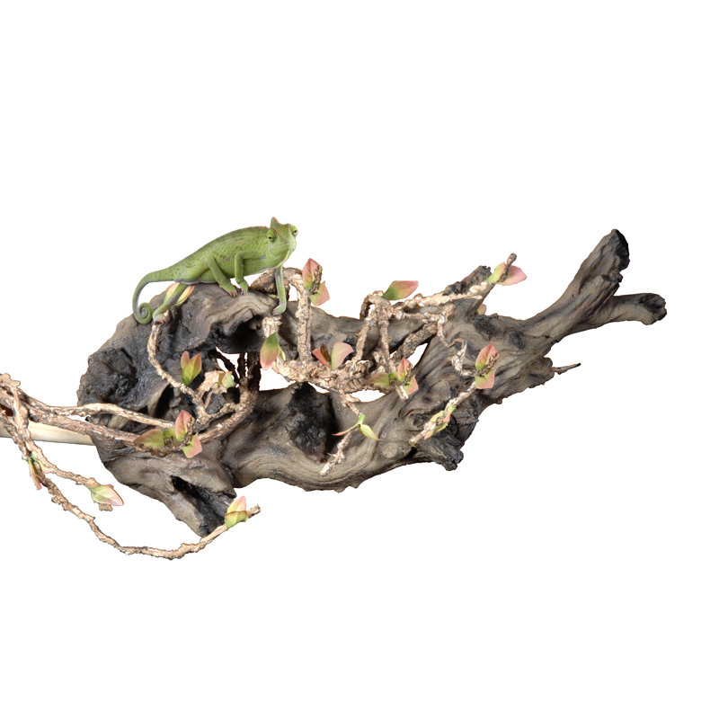Ensemble d'accessoires pour terrarium Reptology, 5 pi x 3/8 po