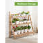 Carlleen Plant Stand
