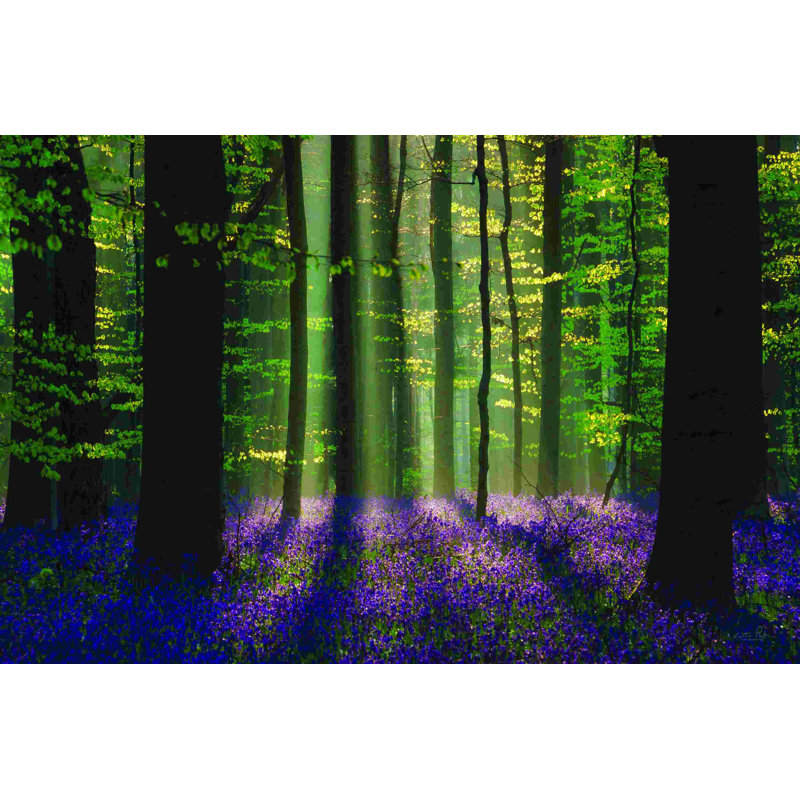 Perfect Spring Scene - Wrapped Canvas Print,  32" H x 48" W 