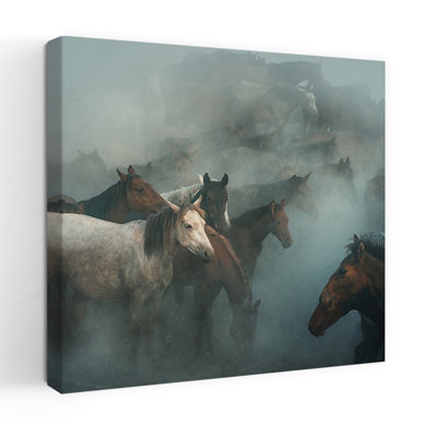 Art sauvage, chevaux sauvages dans la poussière