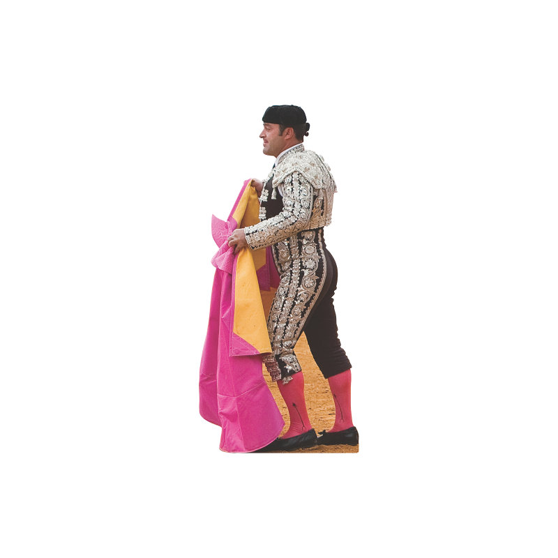 SC2484 Torero