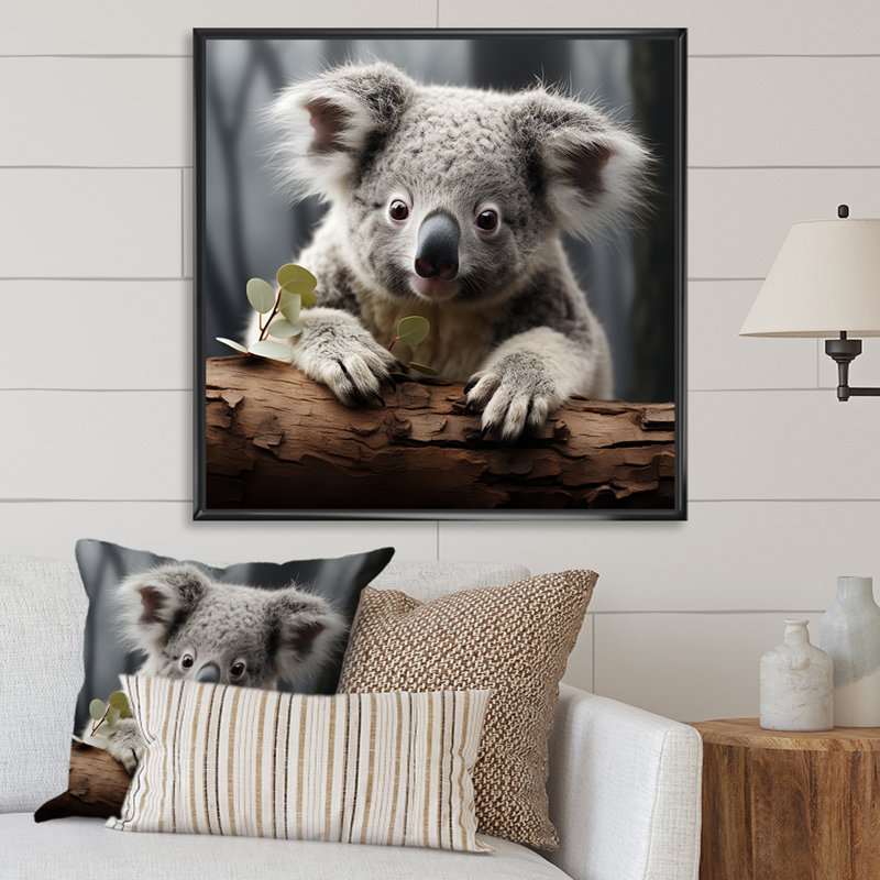Mignon koala en Australie III - art mural animal koala, Cadre flottant noir, H 16 po x l 16 po x P 1 po