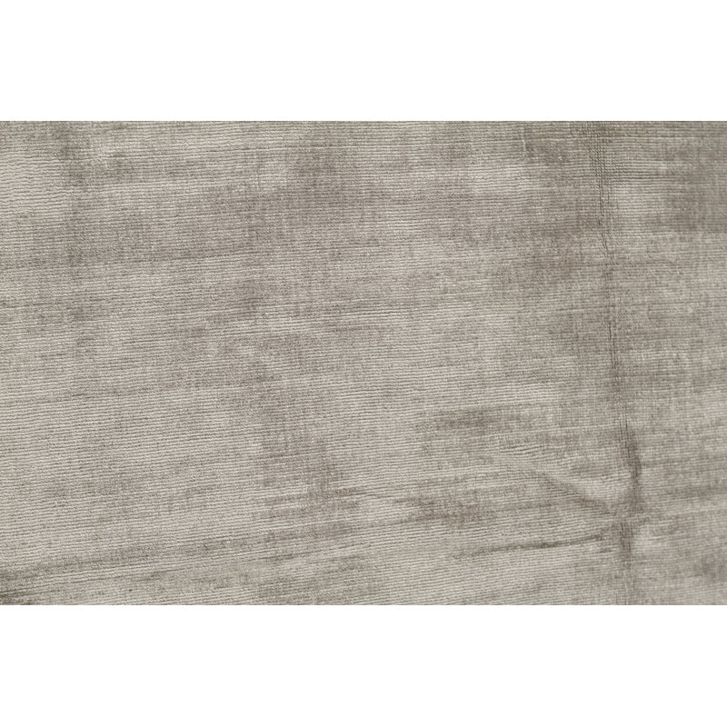 Area Rug in Beige