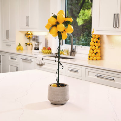 Topiaire en pot 24 po citron