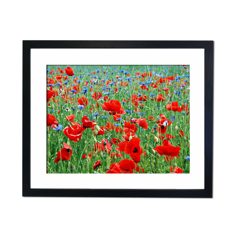 Single Picture Frame Print