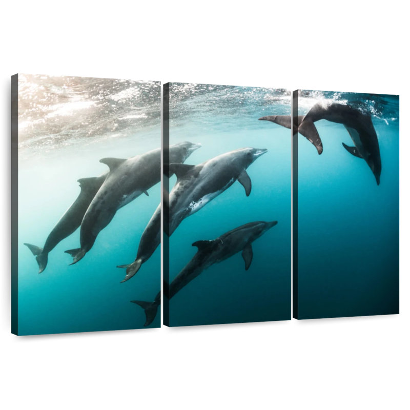 Brampt Dolphin Playmates, 36" H x 57" W