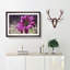 Purple Daisy - Picture Frame Painting Print-56758400-56758394