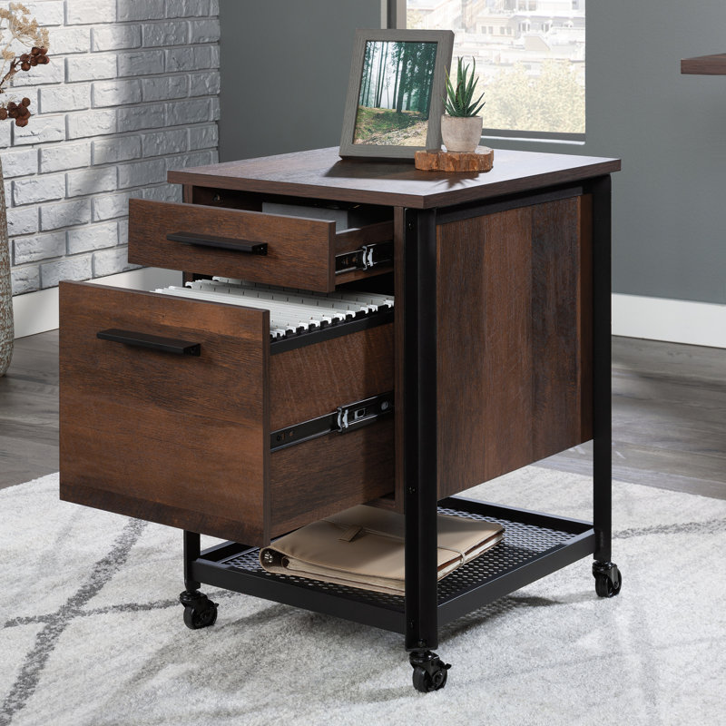 Armoire de rangement pour bureau personnel