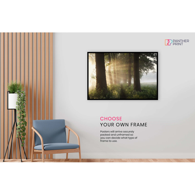 Summer Sunlight Trees Landscape - No Frame Print, 61cm H x 91cm W