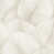 Ivory selected