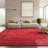 Nicarla Performance Oriental Rug-31134110
