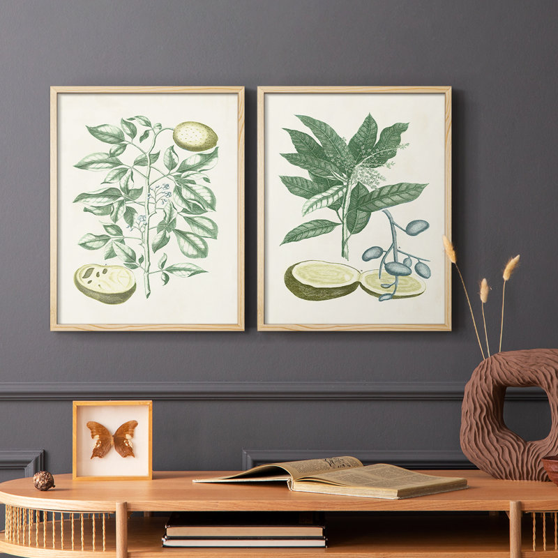 Buchoz Tropicals III - reproduction encadrée de qualité supérieure - prête à être accrochée - aucun clou requis - aucun clou requis