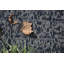 Ensemble de tapis intérieur / extérieur en nylon touffeté à la machine Rorge-96576128