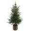 SEASONAL GREENERY TREE PINE BSKT 3FT