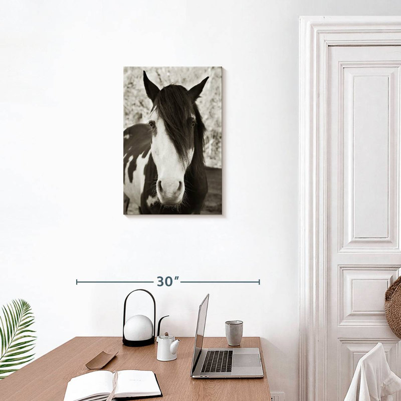 Brampt Pale Eyed Stallion, 24" H x 16" W