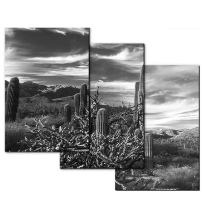 3 Piece Wrapped Canvas Print