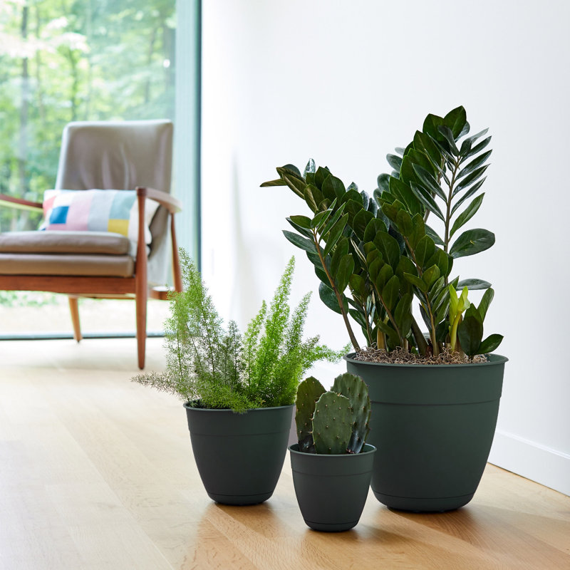 Dayton Traditional Recycled Plastic Indoor/Outdoor Planter with Attached Saucer, 12" H x 12" W x 12" D, Turtle Green