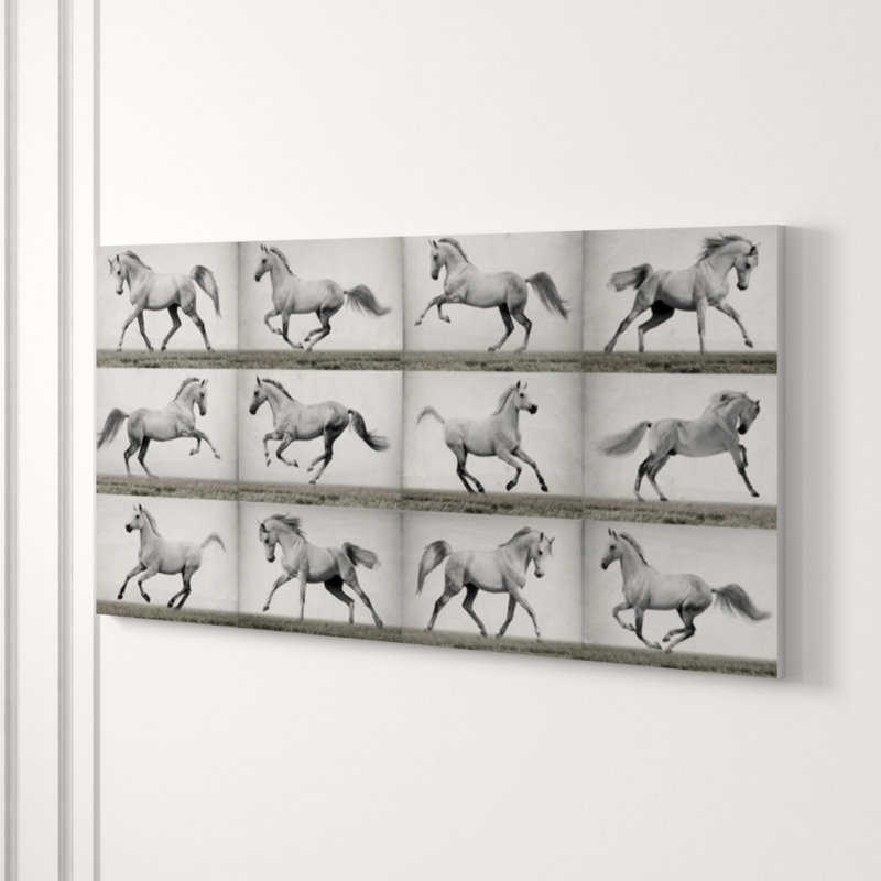 Horses In Motion Print by Sofia Fox, 30" H x 60" W x 1.5" D, Glass Coat