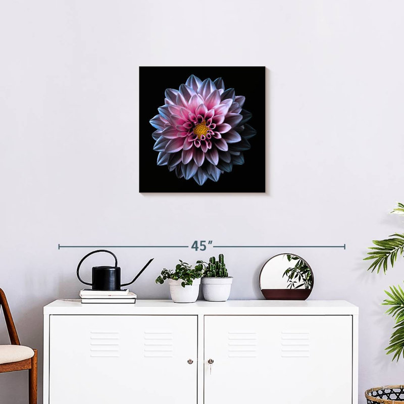Dahlia Harnek rose et mauve, H 20 po x l 20 po