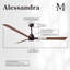 Alessandra Outdoor Downrod Ceiling Fan-631821125-653540885
