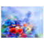 «Blue Corn Flowers and Red Poppies», impression sur toile tendue-19241178