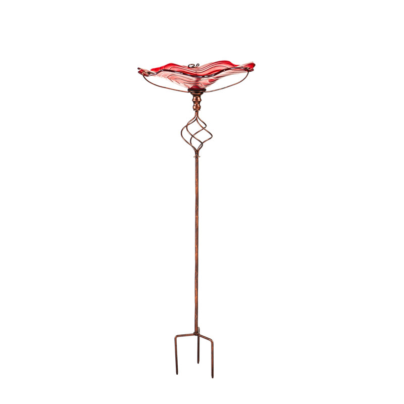 Bain d'oiseaux Amron, Rouge
