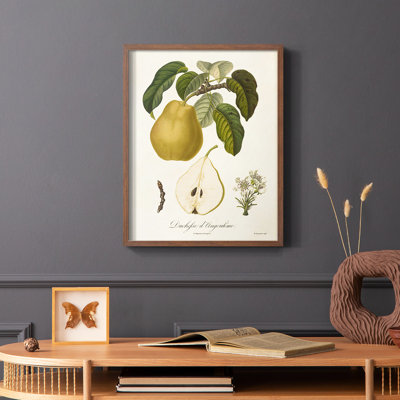 Vintage Pears I, reproduction encadrée - bois massif